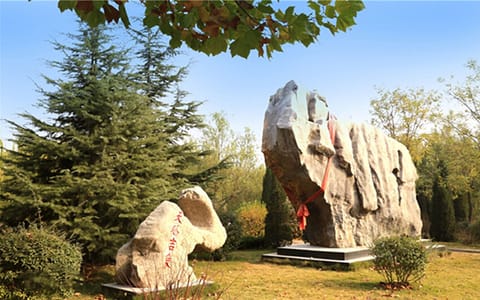 山东现代学院·校园风光6
