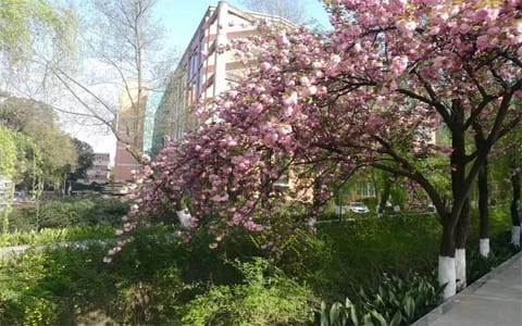 四川师范大学·四川师范大学7