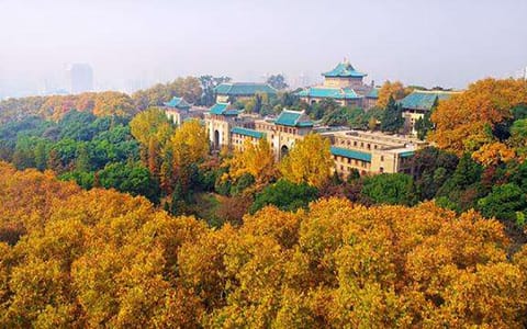 武汉大学·校园风光