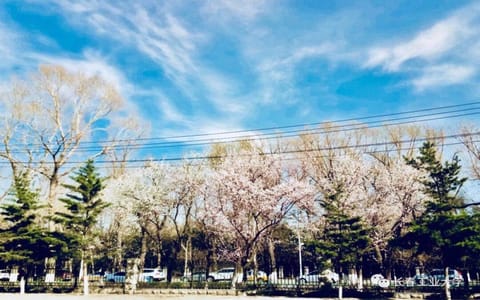 长春工业大学·校园风光