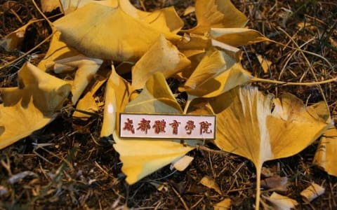 成都体育学院·胸章