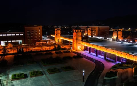 大连科技学院·夜景