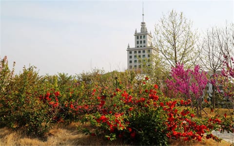 哈尔滨工业大学(威海)·校园风光4