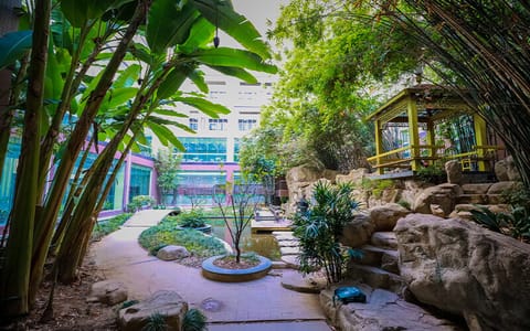 武汉工商学院·图书馆花园
