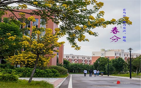 昆明医科大学·春分