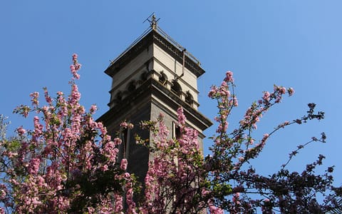 云南大学·校园风光4
