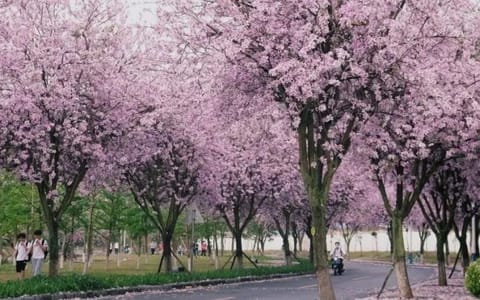 桂林电子科技大学·校园风光