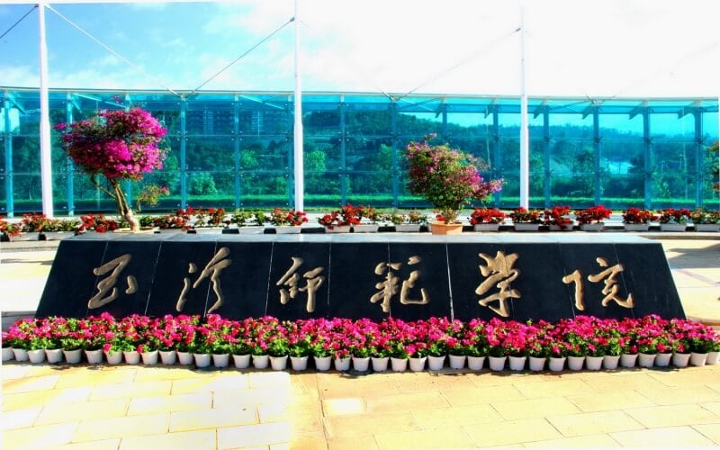 玉溪师范学院主图·东门一角