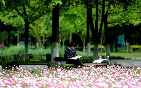成都中医药大学·成都中医药大学7