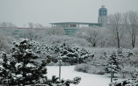 吉林农业大学·冬景