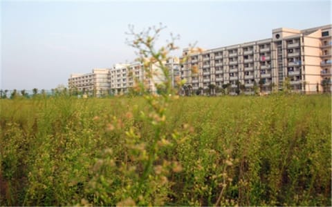 铜陵学院·校园风光