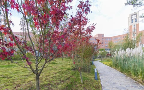 安顺学院·校园春色2
