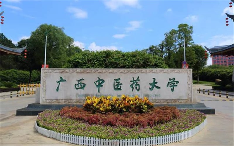 广西中医药大学主图·校门