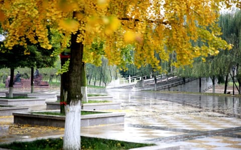 成都中医药大学·成都中医药大学4