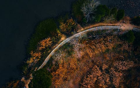 江汉大学·江汉大学三角湖绿道一景