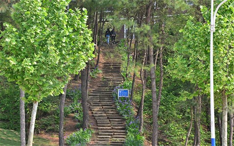 信阳学院·校园风光6