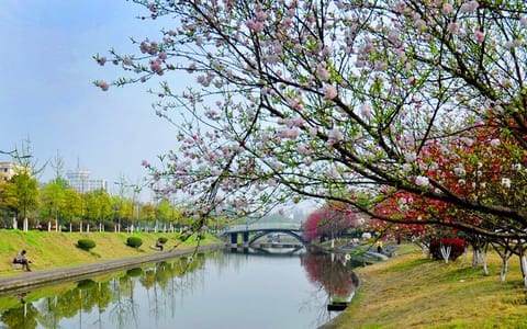 三峡大学·三峡大学求索溪