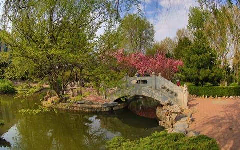 东北财经大学·莘子园