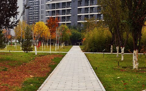 河北师范大学·校园风光13