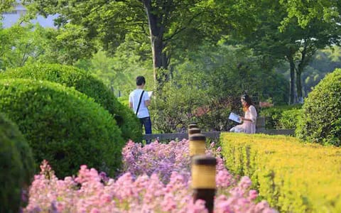 上海大学·校园风光8