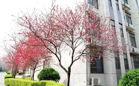 郑州工商学院·郑州工商学院--校园风光2