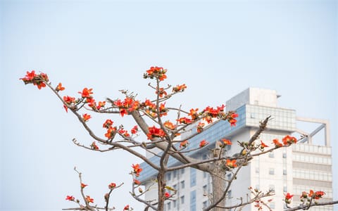 海南大学·校园风光