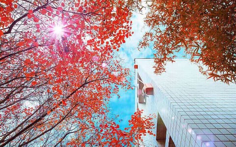 南阳师范学院·校园风光