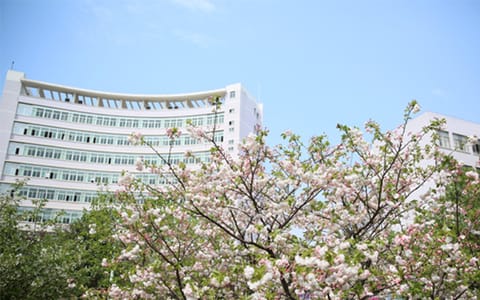 中南林业科技大学·图书馆一角