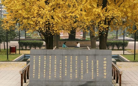 重庆医科大学·校园秋景