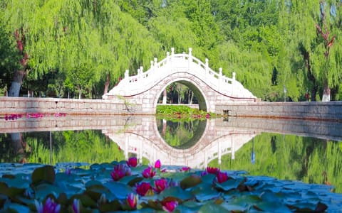 鲁东大学·校园风光