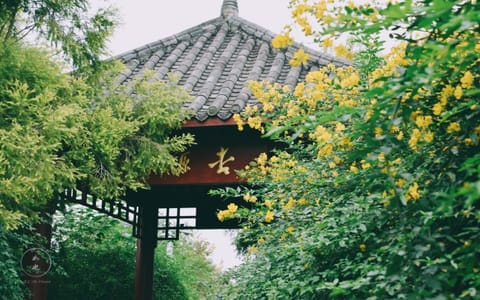 成都中医药大学·校园风光