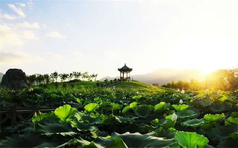 福建中医药大学·校园风光3