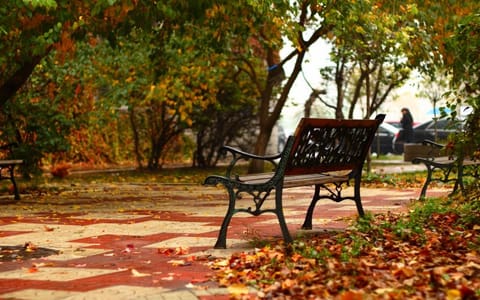 黑龙江工程学院·校园风光11