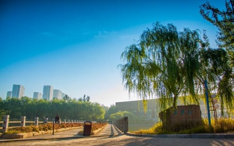 沈阳建筑大学·蓝梦桥