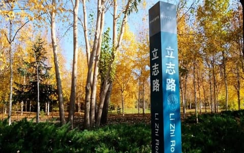 齐齐哈尔医学院·路标