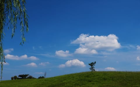 成都东软学院·校园风景12