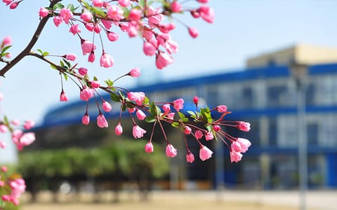 东华大学·校园风光2