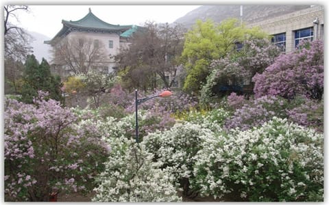 西北民族大学·校园风光5