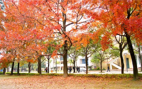 福州大学·校园风景2
