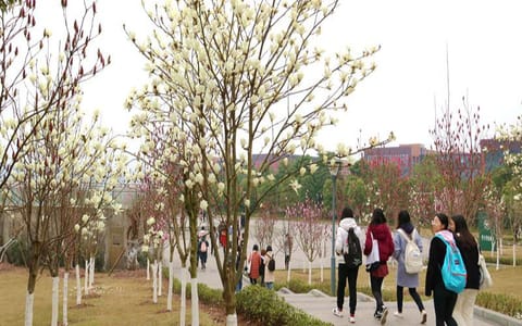 长江师范学院·校园一角8