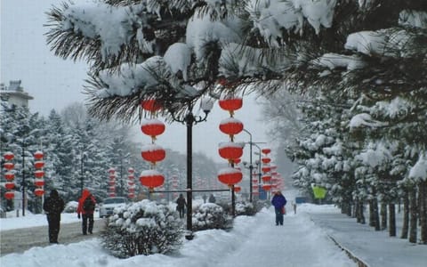 沈阳农业大学·神农路