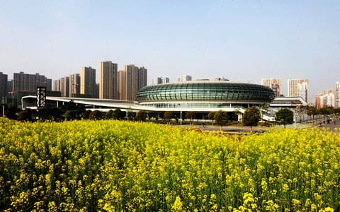 武汉理工大学·体育馆