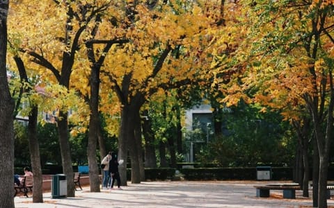 北京语言大学·路