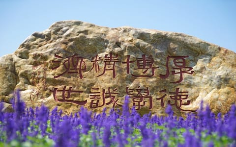 广州中医药大学·广场一角
