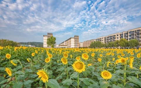 南京邮电大学·校园风光