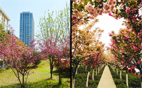 合肥师范学院·校园风光