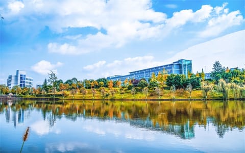 西华师范大学·西华师范大学11