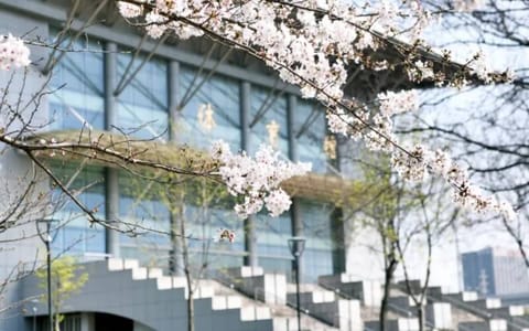 南京信息工程大学·阳光明媚