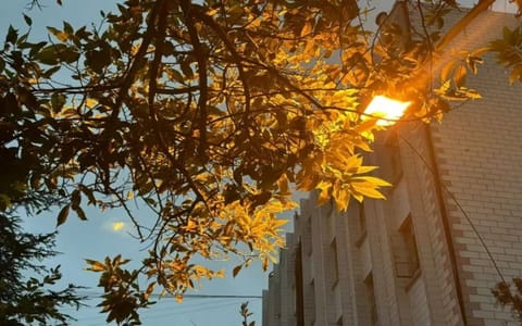 文山学院·校园风光