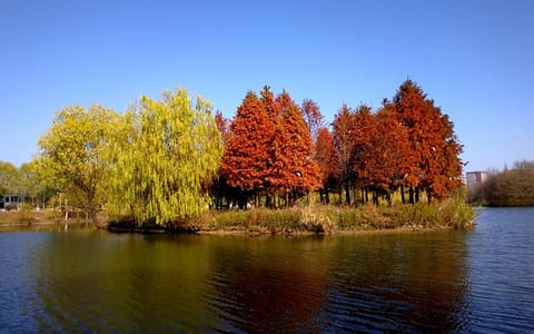 南京工业职业技术大学·秋